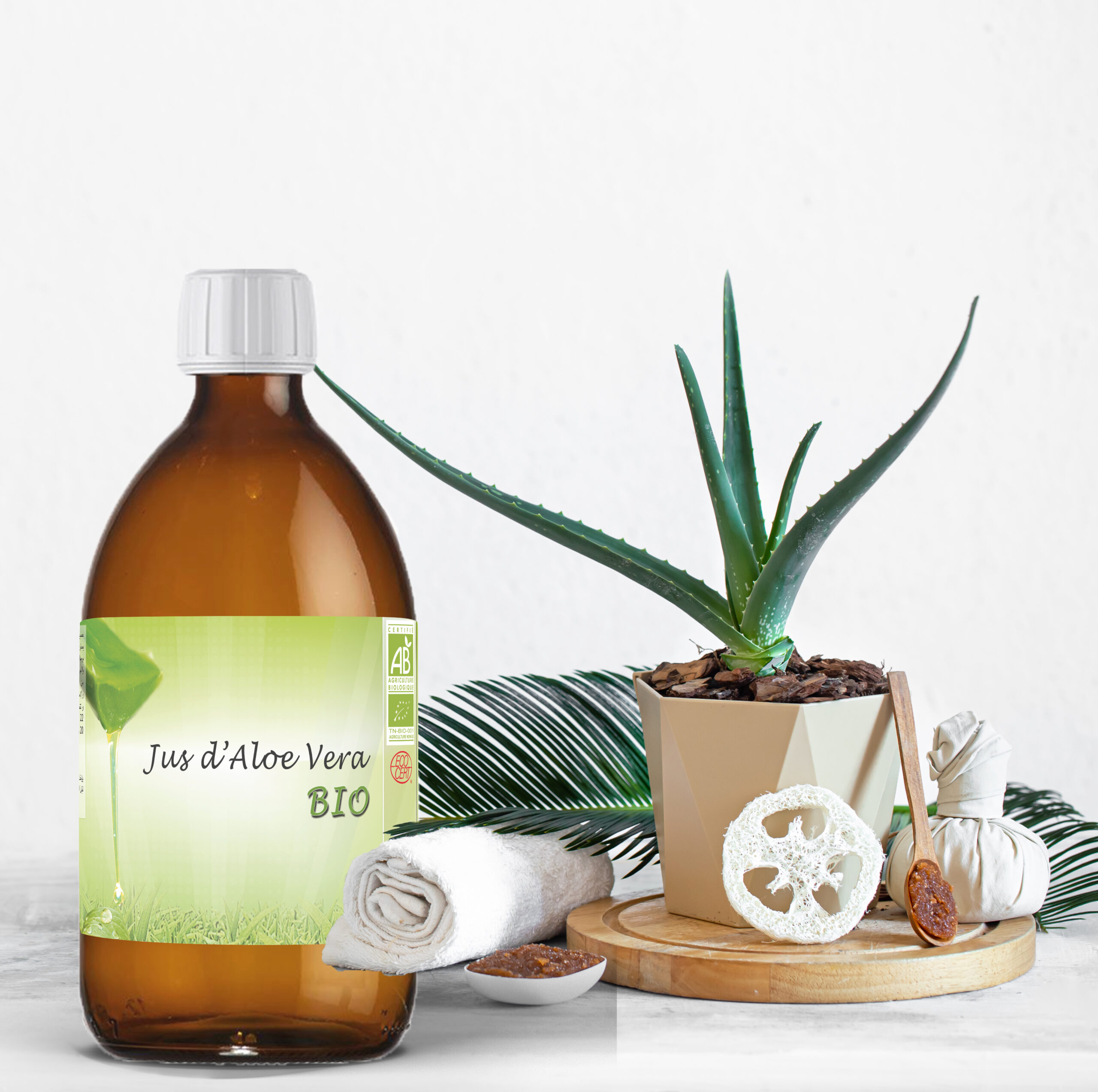 ALOE VERA